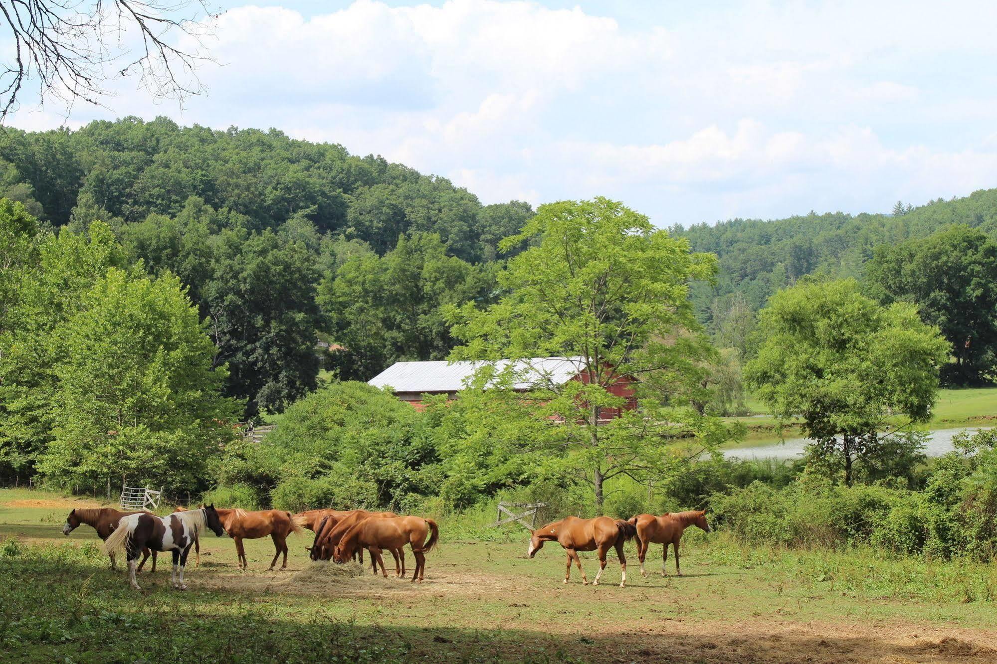 Springmaid Mountain Villa Spruce Pine ภายนอก รูปภาพ