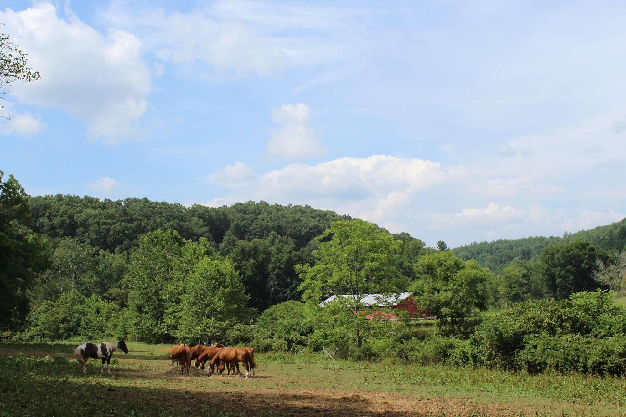 Springmaid Mountain Villa Spruce Pine ภายนอก รูปภาพ
