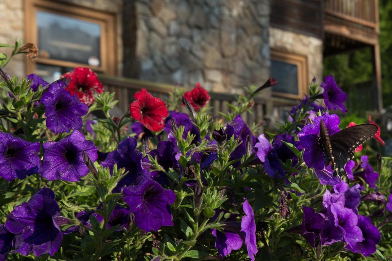 Springmaid Mountain Villa Spruce Pine ภายนอก รูปภาพ